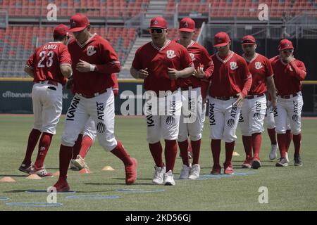 Mitglieder des Teams Diablos Rojos del México begannen die Vorsaison 2022 mit ihrem ersten Training im Estadio Alfredo Harp Helú in Mexiko-Stadt. An diesem ersten Trainingstag waren 20 Außenfeldspieler und 25 Pitcher dabei, und das Team wartet auf den Bericht der Kanoneballers Japhet Amador und der amerikanischen Verstärkung Justin Bour. (Foto von Gerardo Vieyra/NurPhoto) Stockfoto