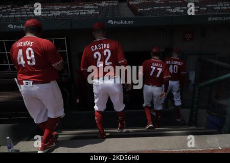 Mitglieder des Teams Diablos Rojos del México verlassen das Feld am Ende des Trainings für ihre Vorsaison 2022 im Alfredo Harp Helú Stadium in Mexiko-Stadt. An diesem ersten Trainingstag waren 20 Außenfeldspieler und 25 Pitcher dabei, und das Team wartet auf den Bericht der Kanoneballers Japhet Amador und der amerikanischen Verstärkung Justin Bour. (Foto von Gerardo Vieyra/NurPhoto) Stockfoto