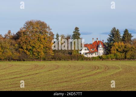 Alte Villa im Herbst. Hinter dem neu gesät Feld zwischen bunten Bäumen versteckt sich eine alte Villa am Stadtrand von Trossingen. Stockfoto