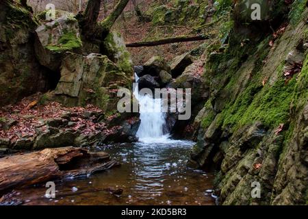 Wandern Sie an einem Wintertag in Deutschland über einen kleinen Wasserfall in einem Bach auf einem Wanderweg im Binger Wald. Stockfoto