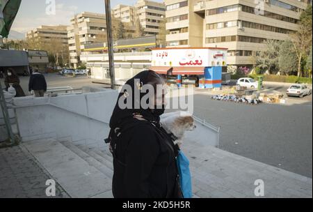 Eine iranische Frau, die ihr Haustier trägt, während Nowruz am 19. März 2022 im Stadtteil Ekbatan im Westen Teherans einkaufen ging. Nowruz (neuer Tag) ist der persische Begriff für den Tag des iranischen Neujahrs, der auch als persisches Neujahr bekannt ist. Er beginnt mit der Frühlings-Tagundnachtgleiche und markiert den Beginn von Farvardin, dem ersten Monat des Solar Hijri Kalenders (ein iranischer Kalender, der offiziell im Iran und in Afghanistan verwendet wird). (Foto von Morteza Nikoubazl/NurPhoto) Stockfoto