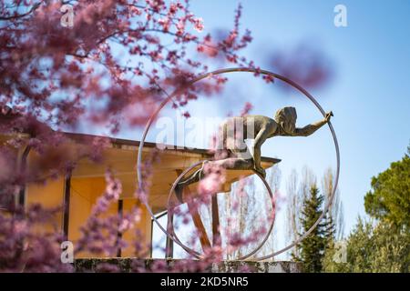 Blühende Bäume, in Rieti, Italien, am 21. März 2022. (Foto von Riccardo Fabi/NurPhoto) Stockfoto