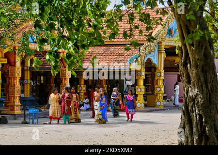 Selva Sannidhi Murugan Tempel (Selvachannithy Murugan Kovil) in Thondaimanaru, Jaffna, Sri Lanka. Der Tempelkomplex ist Lord Murugan gewidmet und wurde nach der Geschichte von den Buddhisten angegriffen, die den Tempel und seine hölzernen Wagen zu Boden verbrannten. Um den Tempel herum wachsen große banyan-Bäume, die von Buddhisten Sri Lankas gepflanzt wurden. (Foto von Creative Touch Imaging Ltd./NurPhoto) Stockfoto