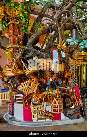 Kleine Holzkisten, die von hinduistischen Familien aufgestellt wurden und darum beten, dass Kinder am Baum des Selva Sannidhi Murugan Temple (Selvachannithy Murugan Kovil) in Thondaimanaru, Jaffna, Sri Lanka, hängen. Der Tempelkomplex ist Lord Murugan gewidmet und wurde nach der Geschichte von den Buddhisten angegriffen, die den Tempel und seine hölzernen Wagen zu Boden verbrannten. Um den Tempel herum wachsen große banyan-Bäume, die von Buddhisten Sri Lankas gepflanzt wurden. (Foto von Creative Touch Imaging Ltd./NurPhoto) Stockfoto