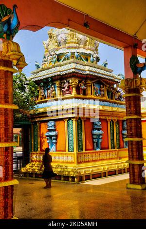 Selva Sannidhi Murugan Tempel (Selvachannithy Murugan Kovil) in Thondaimanaru, Jaffna, Sri Lanka. Der Tempelkomplex ist Lord Murugan gewidmet und wurde nach der Geschichte von den Buddhisten angegriffen, die den Tempel und seine hölzernen Wagen zu Boden verbrannten. Um den Tempel herum wachsen große banyan-Bäume, die von Buddhisten Sri Lankas gepflanzt wurden. (Foto von Creative Touch Imaging Ltd./NurPhoto) Stockfoto