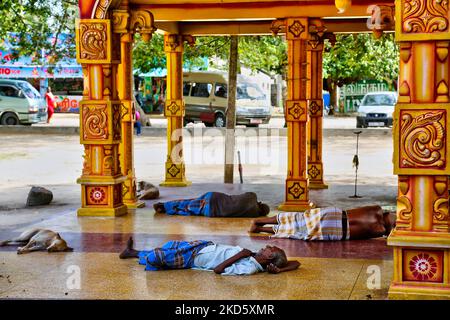 Ältere Männer schlafen vor dem Eingang zum Selva Sannidhi Murugan Tempel (Selvachannithy Murugan Kovil), während sie Zuflucht vor der heißen Mittagssonne in Thondaimanaru, Jaffna, Sri Lanka nehmen. Der Tempelkomplex ist Lord Murugan gewidmet und wurde nach der Geschichte von den Buddhisten angegriffen, die den Tempel und seine hölzernen Wagen zu Boden verbrannten. Um den Tempel herum wachsen große banyan-Bäume, die von Buddhisten Sri Lankas gepflanzt wurden. (Foto von Creative Touch Imaging Ltd./NurPhoto) Stockfoto