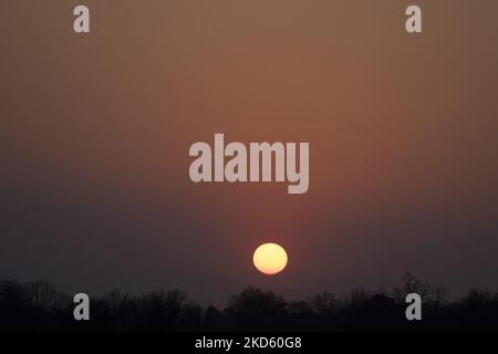 Sonnenuntergang in Meerhoven, in der Nähe von Eindhoven in den Niederlanden. Blick auf die untergehende Sonne hinter den Silhouetten der Bäume und den bunten wolkenlosen Himmel in der niederländischen Landschaft. Die Bilder zeigen die Sonne, unser Sonnensystem-Stern kurz über dem Horizont, der hinter den Bäumen verblasst. Park Meerland, Eindhoven, Niederlande am 23. März 2022 (Foto: Nicolas Economou/NurPhoto) Stockfoto