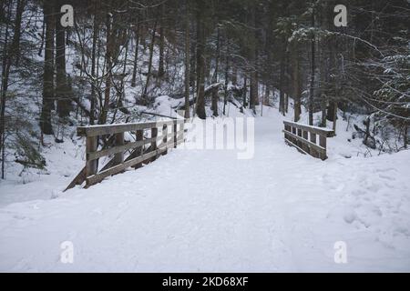 Kleine Holzbrücke über den schneebedeckten Bach im Tatra-Gebirge Stockfoto