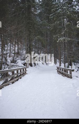 Kleine Holzbrücke über den schneebedeckten Bach im Tatra-Gebirge Stockfoto