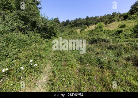 Blick auf die italienische Via francigena nach Rom Stockfoto