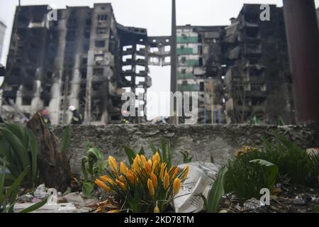 Ukrainische Rettungskräfte arbeiteten an der Bergung der Trümmer nach dem Einsturz der von der russischen Armee zerstörten Gebäude in der Stadt Borodyanka in der Nähe von Kiew, Ukraine, 09. April 2022 (Foto: Maxym Marusenko/NurPhoto) Stockfoto