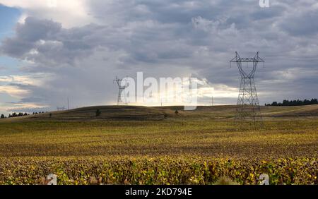 Stahltürme und Hochspannungsleitungen überqueren leere Hügel und Ackerland unter bewölktem Himmel in South Dakota, USA. Stockfoto