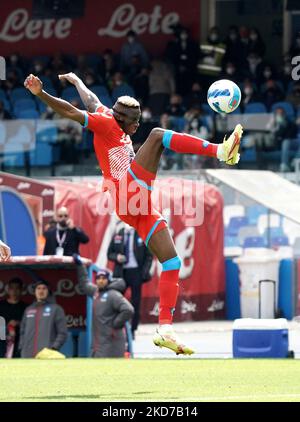 Napoli-Stürmer Victor Osimhen während der Serie A Spiel zwischen SSC Napoli und ACF Fiorentina am 10. April 2022 Stadion 'Diego Armando Maradona' in Napoli, Italien (Foto von Gabriele Maricchiolo/NurPhoto) Stockfoto