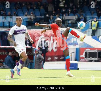 Napoli-Stürmer Victor Osimhen während der Serie A Spiel zwischen SSC Napoli und ACF Fiorentina am 10. April 2022 Stadion 'Diego Armando Maradona' in Napoli, Italien (Foto von Gabriele Maricchiolo/NurPhoto) Stockfoto