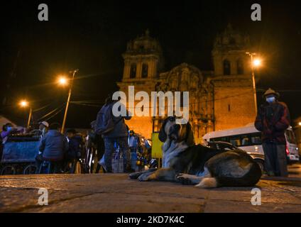 Vor der Peterskirche in Cusco liegt ein Hund. Alle Kirchen in Cusco sind am Gründonnerstag für die Öffentlichkeit ohne Eintrittsgebühren geöffnet. Die Tradition hat es, dass eine Person, die sieben Kirchen besucht, seinen Wunsch wird gewährt werden. Am Donnerstag, den 14. April 2022, in Cusco, Peru. (Foto von Artur Widak/NurPhoto) Stockfoto