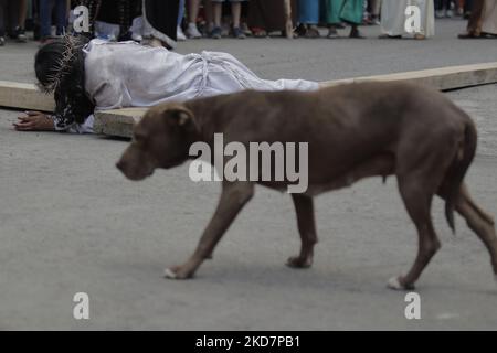 Ein streunender Hund nähert sich einem jungen Mann aus dem Stadtteil Santiago Zapotitlán im Stadtteil Tláhuac von Mexiko-Stadt, der als Jesus Christus gekleidet ist, während des dritten Falls des Passionsspiels während der Karwoche in der Hauptstadt. Nach christlicher Religion bezieht sich das Leiden Christi, auch Leiden Jesu genannt, auf die Qualen und Leiden, die Jesus von Nazareth durch sein Gebet im Garten Gethsemane (kurz bevor er gefangen genommen wurde) bis zu seinem Tod am Kreuz erlitten hat. (Foto von Gerardo Vieyra/NurPhoto) Stockfoto