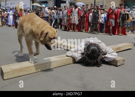 Ein streunender Hund nähert sich einem jungen Mann aus dem Stadtteil Santiago Zapotitlán im Stadtteil Tláhuac von Mexiko-Stadt, der als Jesus Christus gekleidet ist, während der Karwoche in der Hauptstadt, die die Wiederinszenierung der Passion Christi zum ersten Mal verfällt. Nach christlicher Religion bezieht sich das Leiden Christi, auch Leiden Jesu genannt, auf die Qualen und Leiden, die Jesus von Nazareth durch sein Gebet im Garten Gethsemane (kurz bevor er gefangen genommen wurde) bis zu seinem Tod am Kreuz erlitten hat. (Foto von Gerardo Vieyra/NurPhoto) Stockfoto