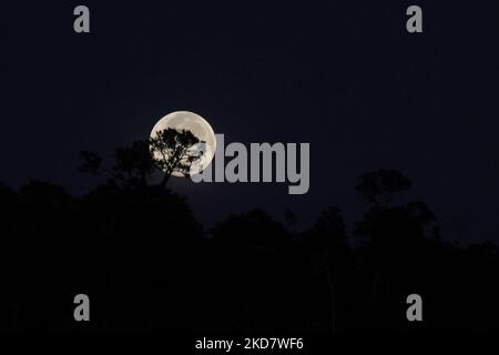 Die Ansicht des Supermondes, der bei Sonnenaufgang gesehen wird, auch bekannt als der superrosa Mond, ist am Himmel über dem Mount Salak Gebiet, North Aceh, am 17. April 2022, in der Provinz Aceh, zu sehen. Indonesien. (Foto von Fachrul Reza/NurPhoto) Stockfoto