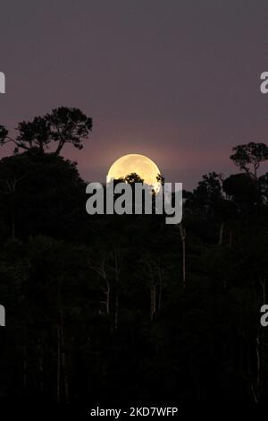 Die Ansicht des Supermondes, der bei Sonnenaufgang gesehen wird, auch bekannt als der superrosa Mond, ist am Himmel über dem Mount Salak Gebiet, North Aceh, am 17. April 2022, in der Provinz Aceh, zu sehen. Indonesien. (Foto von Fachrul Reza/NurPhoto) Stockfoto