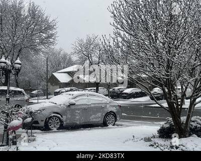 Der Schneesturm im Frühling fiel am 18. April 2022 in Toronto, Ontario, Kanada, rund 8 Zentimeter Schnee. (Foto von Creative Touch Imaging Ltd./NurPhoto) Stockfoto