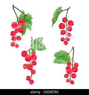 Set aus Aquarell-roten Johannisbeeren. Vektorgrafik. Rote Beeren isoliert auf weiß. Stock Vektor