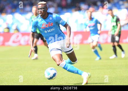 Victor Osimhen (SSC Napoli) in Aktion während der Serie A 2021/22 Spiel zwischen SSC. Napoli und US Sassuolo Calcio im Diego Armando Maradona Stadium (Foto von Agostino Gemito/LiveMedia/NurPhoto) Stockfoto