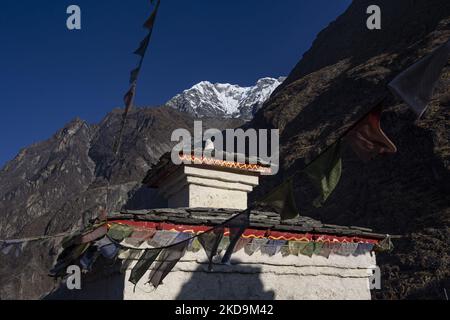 Tibetisch - buddhistische religiöse Gebetsfahne zusammen mit dem Langtang Lirung Gipfel. Langtang Lirung Peak aus Sicht des Dorfes Langtang, Teil des Langtang Himal Berges in Nepal mit dem höchsten Punkt in einer Höhe von 7234m oder 23734 Fuß. Der Langtang Lirung ist der 99. höchste Berg der Welt und wurde 1978 zum ersten Mal erreicht. Am 25. April 2015 führte ein massives Erdbeben der Stärke 7,8 zu einer Lawine und einem Erdrutsch im Dorf Langtang, bei dem direkt 243 Menschen getötet und das Dorf verschwungen wurden. Der Langtang National Park ist ein beliebtes Trekking- und Reiseland für ausländische Wanderer Stockfoto