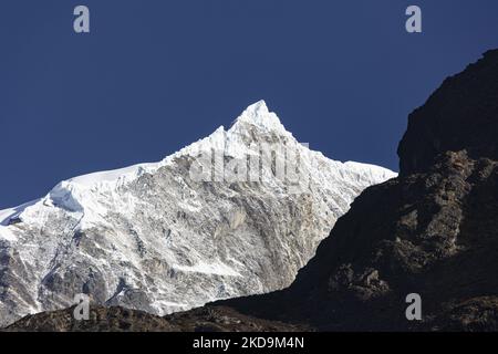 Langtang Lirung Peak aus Sicht des Dorfes Langtang, Teil des Langtang Himal Berges in Nepal mit dem höchsten Punkt in einer Höhe von 7234m oder 23734 Fuß. Der Langtang Lirung ist der 99. höchste Berg der Welt und wurde 1978 zum ersten Mal erreicht. Am 25. April 2015 führte ein massives Erdbeben der Stärke 7,8 zu einer Lawine und einem Erdrutsch im Dorf Langtang, bei dem direkt 243 Menschen getötet und das Dorf verschwungen wurden. Der Langtang National Park ist ein beliebtes Trekking- und Reiseland für ausländische Wanderer und Einheimische. Die Bewohner des Dorfes sind Tamang-Tibeter mit Ursprung in T Stockfoto