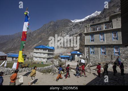 Schüler, Schüler, wie sie außerhalb der örtlichen Schule unter dem Langtang Lirung Peak gesehen werden. Langtang Lirung Peak aus Sicht des Dorfes Langtang, Teil des Langtang Himal Berges in Nepal mit dem höchsten Punkt in einer Höhe von 7234m oder 23734 Fuß. Der Langtang Lirung ist der 99. höchste Berg der Welt und wurde 1978 zum ersten Mal erreicht. Am 25. April 2015 führte ein massives Erdbeben der Stärke 7,8 zu einer Lawine und einem Erdrutsch im Dorf Langtang, bei dem direkt 243 Menschen getötet und das Dorf verschwungen wurden. Der Langtang National Park ist ein beliebtes Trekking- und Reiseland für Fore Stockfoto