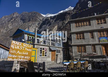 Ein Gästehaus in Langtang mit dem Langtang Lirung-Gipfel aus der Sicht des Dorfes Langtang, einem Teil des Langtang Himal-Berges in Nepal mit dem höchsten Punkt in einer Höhe von 7234m oder 23734 m. Der Langtang Lirung ist der 99. höchste Berg der Welt und wurde 1978 zum ersten Mal erreicht. Am 25. April 2015 führte ein massives Erdbeben der Stärke 7,8 zu einer Lawine und einem Erdrutsch im Dorf Langtang, bei dem direkt 243 Menschen getötet und das Dorf verschwungen wurden. Der Langtang National Park ist ein beliebtes Trekking- und Reiseland für ausländische Wanderer und Einheimische, die im Dorf leben Stockfoto