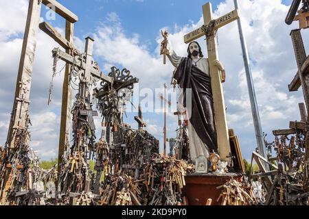 Der Kreuzberg ist in der Nähe von Siauliai, im Norden Litauens, am 6. Mai 2022 zu sehen. Der Kreuzberg ist ein wichtiger Ort der katholischen Wallfahrt in Litauen. Die genaue Anzahl der Kreuze ist unbekannt, aber Schätzungen zufolge liegt sie bei etwa 200k. Es wird angenommen, dass die ersten Kreuze nach dem Aufstand von 1831 auf dem Hügel platziert wurden. (Foto von Michal Fludra/NurPhoto) Stockfoto