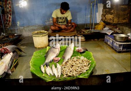 Ein Fischgroßmarkt in Kalkutta, Indien, 12. Mai 2022. Die Privatkundeninflation steigt im April auf 7,79 %, laut einem indischen Medienbericht der höchste seit 8 Jahren. (Foto von Indranil Aditya/NurPhoto) Stockfoto