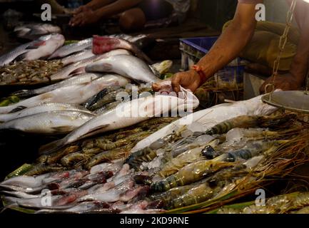 Ein Fischgroßmarkt in Kalkutta, Indien, 12. Mai 2022. Die Privatkundeninflation steigt im April auf 7,79 %, laut einem indischen Medienbericht der höchste seit 8 Jahren. (Foto von Indranil Aditya/NurPhoto) Stockfoto