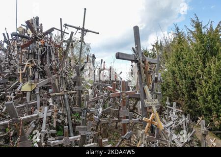 Der Kreuzberg ist in der Nähe von Siauliai, im Norden Litauens, am 6. Mai 2022 zu sehen. Der Kreuzberg ist ein wichtiger Ort der katholischen Wallfahrt in Litauen. Die genaue Anzahl der Kreuze ist unbekannt, aber Schätzungen zufolge liegt sie bei etwa 200k. Es wird angenommen, dass die ersten Kreuze nach dem Aufstand von 1831 auf dem Hügel platziert wurden. (Foto von Michal Fludra/NurPhoto) Stockfoto