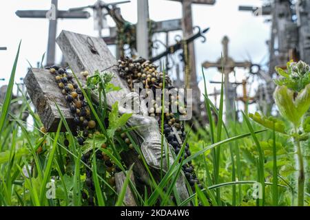 Der Kreuzberg ist in der Nähe von Siauliai, im Norden Litauens, am 6. Mai 2022 zu sehen. Der Kreuzberg ist ein wichtiger Ort der katholischen Wallfahrt in Litauen. Die genaue Anzahl der Kreuze ist unbekannt, aber Schätzungen zufolge liegt sie bei etwa 200k. Es wird angenommen, dass die ersten Kreuze nach dem Aufstand von 1831 auf dem Hügel platziert wurden. (Foto von Michal Fludra/NurPhoto) Stockfoto