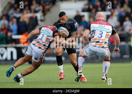 Luther Burrell von Newcastle Falcons wird am Samstag, den 21.. Mai 2022, von Ellis Genge von Leicester Tigers während des Spiels der Gallagher Premiership zwischen Newcastle Falcons und Leicester Tigers im Kingston Park, Newcastle, angegangen. (Foto von Chris Lisham/MI News/NurPhoto) Stockfoto