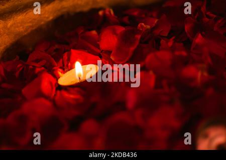 Handgefertigter umweltfreundlicher Ton Diya Deep Dia auf Rosenblüten als Rangoli-Hintergrund mit Kopierfläche angeordnet Stockfoto