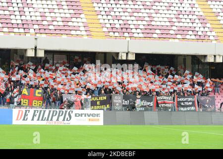 Salerno, Italien. 05. Nov, 2022. Die Fans der Kremone während der Serie Ein Spiel zwischen US Salernitana 1919 V US Cremonese im Arechi Stadium Credit: Independent Photo Agency/Alamy Live News Stockfoto