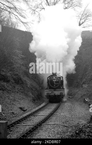 „Lydham Manor“ (läuft als Klassenpionier 7800 „Torquay Manor“) am Greenway Tunnel. Stockfoto