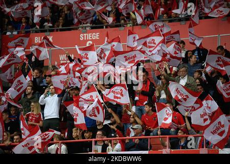 Österreichs Fans während Österreich gegen Frankreich, UEFA Nations League, Gruppe A1, Ernst-Happel-Stadion in Wien, 10. Juni 2022, Österreich (Foto: Flaviu Buboi/NurPhoto) Stockfoto