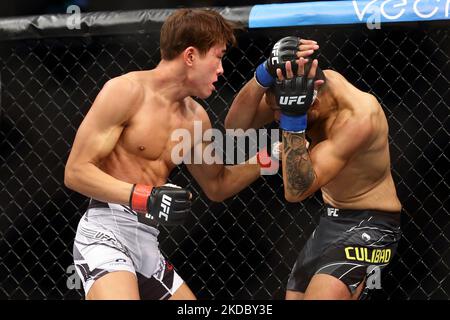 Josh Culibao aus Australien (R) kämpft während des UFC 275-Events im Singapore Indoor Stadium am 12. Juni 2022 in Singapur gegen Seungwoo Choi aus Südkorea im Federgewichtskampf der Männer. (Foto von Suhaimi Abdullah/NurPhoto) Stockfoto