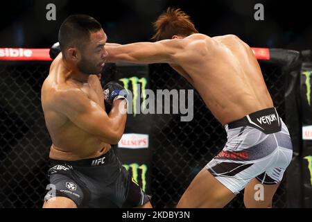 Josh Culibao aus Australien (L) kämpft während des UFC 275-Events im Singapore Indoor Stadium am 12. Juni 2022 in Singapur gegen Seungwoo Choi aus Südkorea im Federgewichtskampf der Männer. (Foto von Suhaimi Abdullah/NurPhoto) Stockfoto