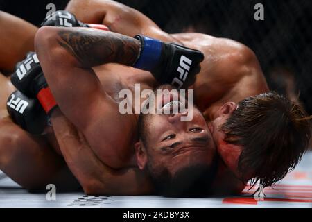 Josh Culibao aus Australien (L) kämpft während des UFC 275-Events im Singapore Indoor Stadium am 12. Juni 2022 in Singapur gegen Seungwoo Choi aus Südkorea im Federgewichtskampf der Männer. (Foto von Suhaimi Abdullah/NurPhoto) Stockfoto