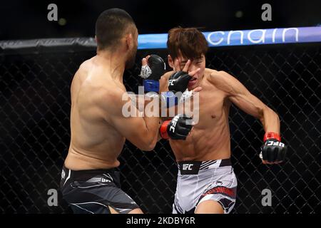 Josh Culibao aus Australien (L) kämpft während des UFC 275-Events im Singapore Indoor Stadium am 12. Juni 2022 in Singapur gegen Seungwoo Choi aus Südkorea im Federgewichtskampf für Herren. (Foto von Suhaimi Abdullah/NurPhoto) Stockfoto