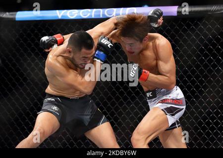 Josh Culibao aus Australien (L) kämpft während des UFC 275-Events im Singapore Indoor Stadium am 12. Juni 2022 in Singapur gegen Seungwoo Choi aus Südkorea im Federgewichtskampf für Herren. (Foto von Suhaimi Abdullah/NurPhoto) Stockfoto