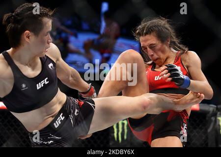 Zhang Weili aus China (L) kämpft während des UFC 275-Events im Singapore Indoor Stadium am 12. Juni 2022 in Singapur gegen Joanna Jedrzejczyk aus Polen im Strohgewicht-Kampf für Frauen. (Foto von Suhaimi Abdullah/NurPhoto) Stockfoto