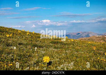 Dieses Foto bietet dem Betrachter eine ungehinderte Sicht vom Mt. Amor in den Rocky Mountains von Colorado. Von diesem Standpunkt aus kann man träumen und hoffen. Stockfoto