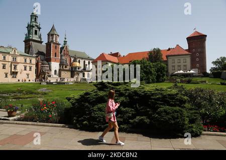 Gesamtansicht der Wawel-Kathedrale und des Schlosses in Krakau, Polen am 19. Juni 2022. (Foto von Jakub Porzycki/NurPhoto) Stockfoto