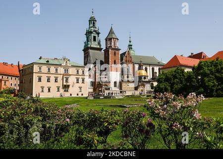 Gesamtansicht der Wawel-Kathedrale und des Schlosses in Krakau, Polen am 19. Juni 2022. (Foto von Jakub Porzycki/NurPhoto) Stockfoto