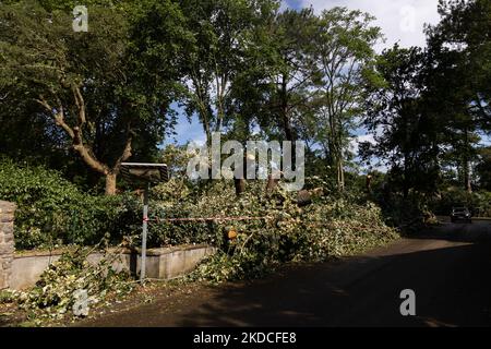 In Moliets et Maa, im Stadtzentrum, traf am 22. Juni gegen 5am Uhr ein extrem heftiger und sehr örtlich begrenzter Sturm die Landes und verursachte zahlreiche Schäden (Foto: Jerome Gilles/NurPhoto) Stockfoto